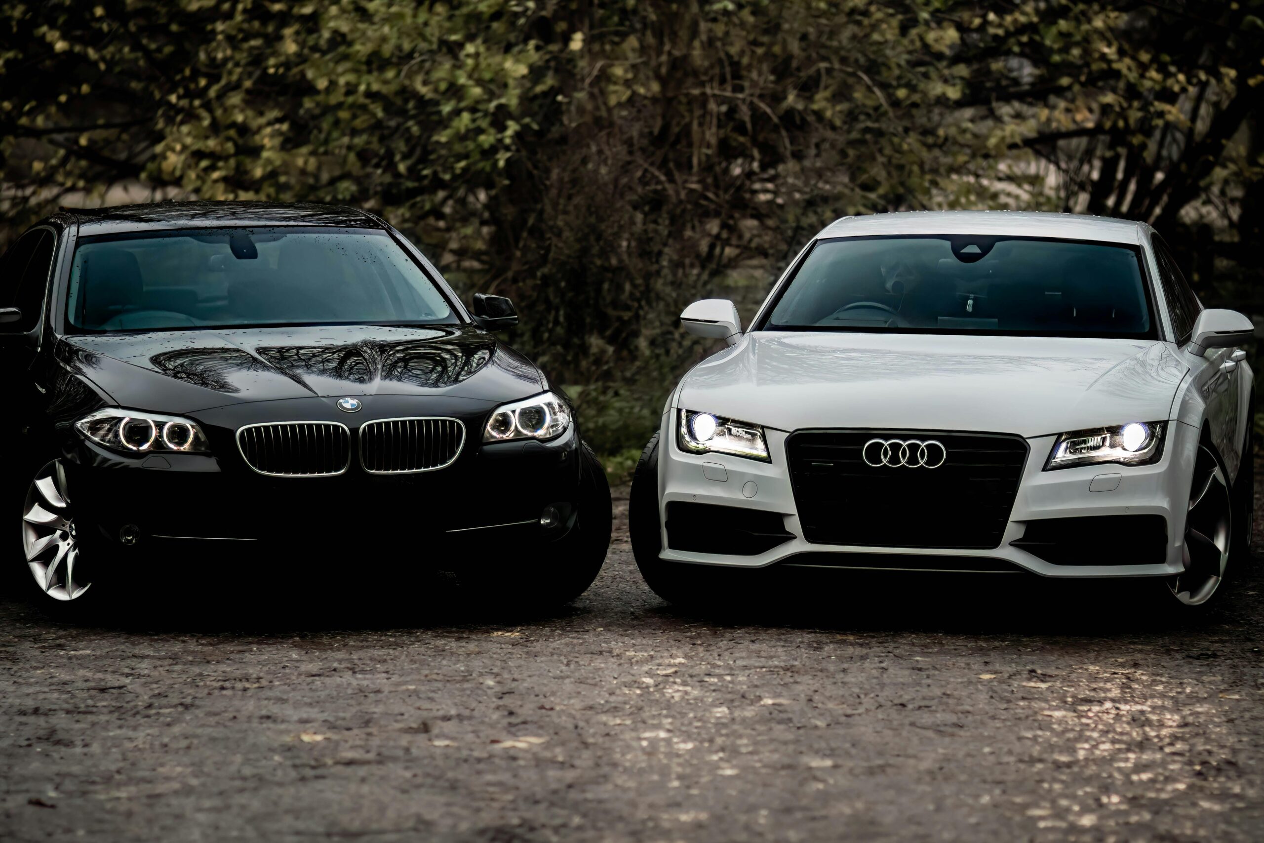 You are currently viewing the besr car audi or bmw